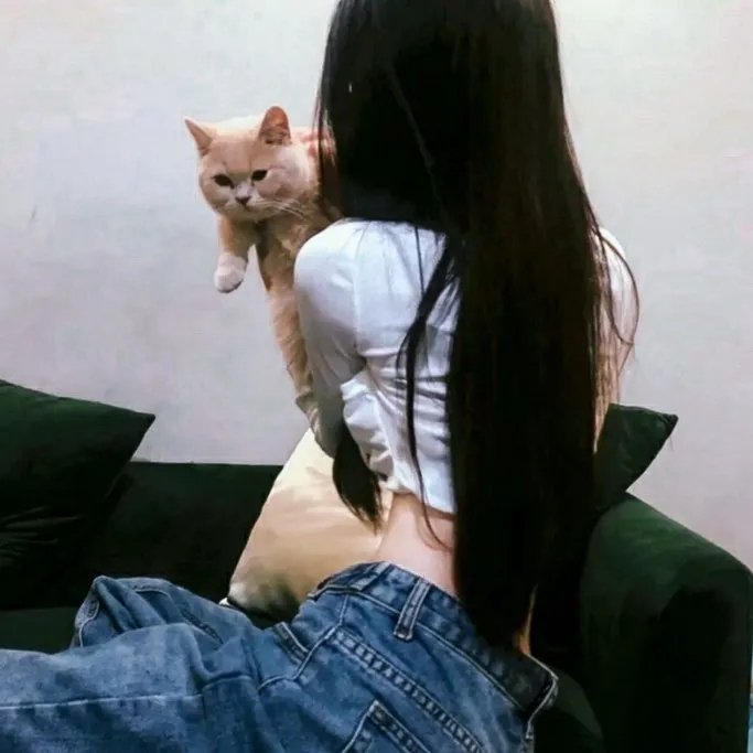 少女们的指南针